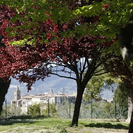 Affittacamere Le Storie di Bambu Terni Esterno foto