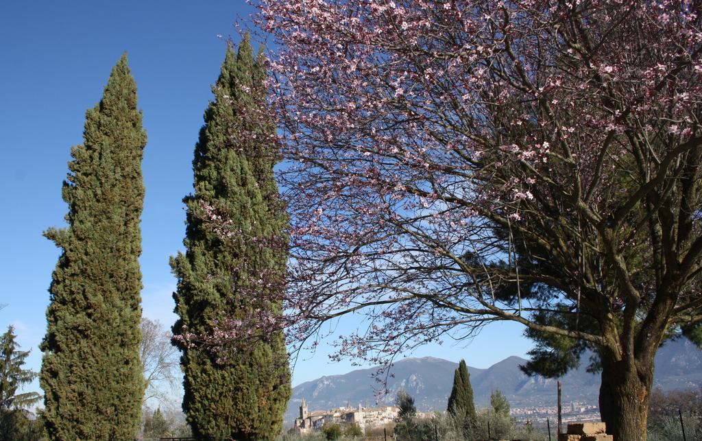 Le Storie Di Bambu * Terni
