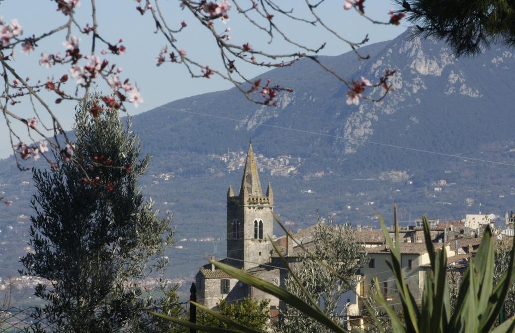 Le Storie Di Bambu Country house