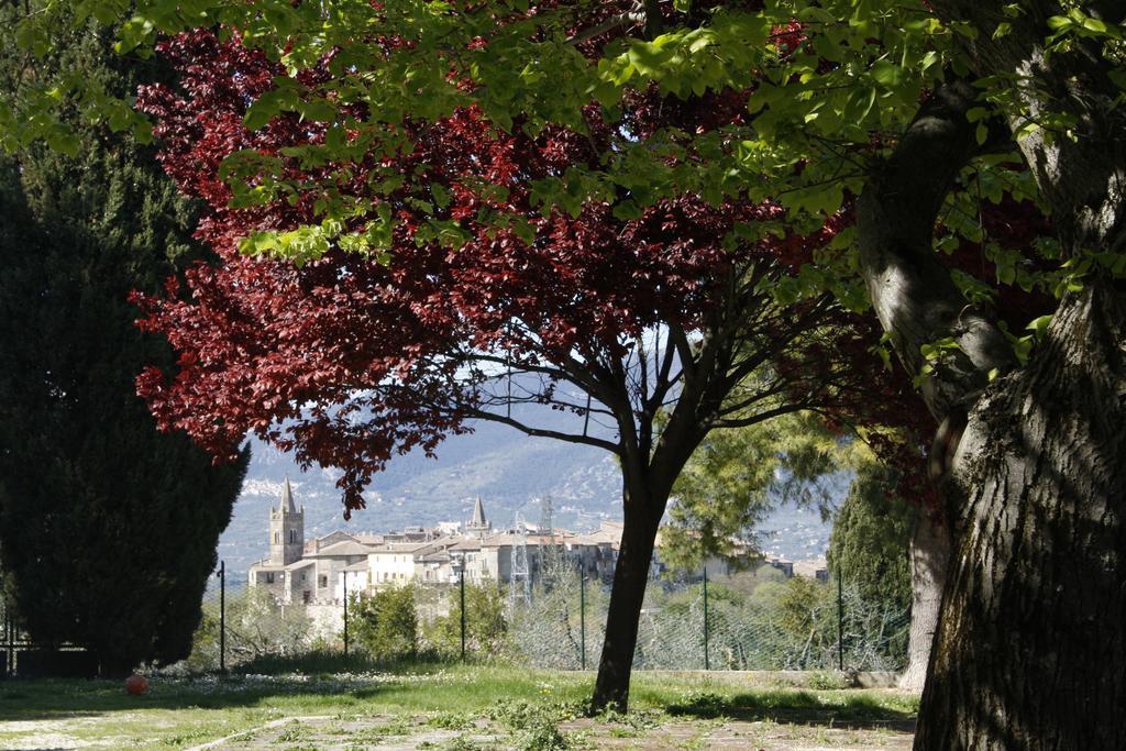 Le Storie Di Bambu * Terni