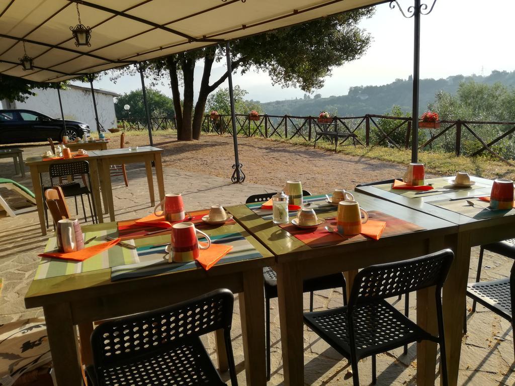 Le Storie Di Bambu Terni